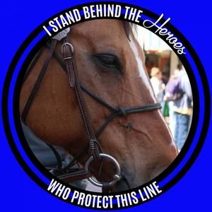 Meet your Posher, Terri